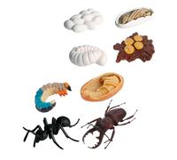 NOLITOY Set di 8 Modelli Evolutivi di Formiche Operaie in Pvc, Giocattoli Cognitivi Didattici e Ornamenti Realistici e Esposizioni Scientifiche