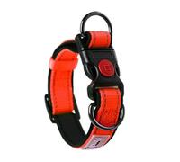 NOLLAM Collare per Cani Regolabile, Comodo Nylon Riflettente Imbottito in Morbida Schiuma con Anelli a Doppia D per Cani di Taglia Piccola, Media e Grande