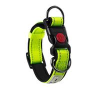 NOLLAM Collare per Cani Regolabile, Comodo Nylon Riflettente Imbottito in Morbida Schiuma con Anelli a Doppia D per Cani di Taglia Piccola, Media e Grande