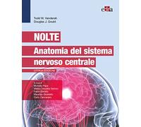 Nolte. Anatomia del sistema nervoso centrale