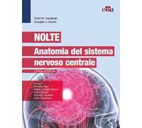 Nolte. Anatomia del sistema nervoso centrale