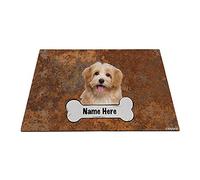Nome Cane Personalizzato Osso, Bellissimo Sfondo Felice Con Motivo Havanese Rossastro Tappetino Da Bagno Antisporco Zerbino Di Benvenuto Resistente Tappeti D'Ingresso 40X60Cm