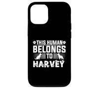 Nome del cane Harvey regalo personalizzato This Human Belongs To a Custodia per iPhone 12/12 Pro