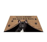 Nome Del Cane Personalizzato, Bulldog Francese Del Mio Amore, Chi È Responsabile, Viviamo Qui Tappetino Da Bagno Antiscivolo Tappeto Ingresso Casa Antisporco Tappetini Porta Dingresso 40X60Cm