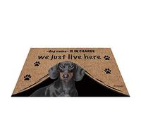 Nome Del Cane Personalizzato, Il Mio Amore Cane Bassotto, Chi È Responsabile, Viviamo Qui Zerbino Di Benvenuto Lavabile Tappetini Porta Dingresso Divertenti Tappetino Da Bagno Per Interno 40X60Cm