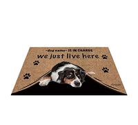 Nome Del Cane Personalizzato, Il Mio Amore Cane Pastore Australiano, Chi È Responsabile, Viviamo Qui Tappetino Da Bagno Lavabile Tappetini Porta Dingresso Zerbino Di Benvenuto Per Balcone 40X60Cm