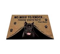 Nome Del Cane Personalizzato, My Love Dog Cane Corso, Non C'È Bisogno Di Bussare, So Che Sei Qui Tappetini Porta Dingresso Zerbino Di Benvenuto Antiscivolo Tappetino Da Bagno 40X60Cm