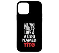Nome del cane Tito - Tutto ciò di cui hai bisogno è amore! Custodia per iPhone 12 mini