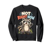 Non Adesso per Gli Appassionati di Raccoon Attitude Felpa