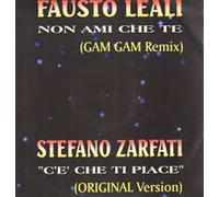 Non Ami Che Te (Gam Gam Remix) / C'e' Che Ti Piace (Original Ve... (Vinile)