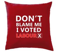 Non Blame Me I Votato Lavoro - Cuscino - Keir Pm Starmer Prime Minister