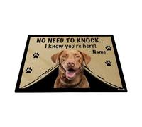 Non C'È Bisogno Di Bussare, So Che Sei Qui - Cane Chesapeake Bay Retriever Tappeti D'Ingresso Divertenti Tappetini Porta Dingresso Tappeto Ingresso Casa Per Soggiorno Interno 40X60 Cm