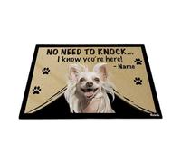 Non C'È Bisogno Di Bussare, So Che Sei Qui - Cane Crestato Cinese Tappetini Porta Dingresso Antisporco Tappeto Ingresso Casa Resistente Zerbino Di Benvenuto Per Soggiorno Balcone 40X60 Cm