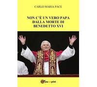 Non c'è un vero Papa dalla morte di Benedetto XVI - Pace Carlo Maria