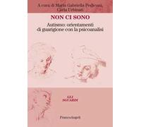 Non ci sono. Autismo: orientamenti di guarigione con la psicoanalisi
