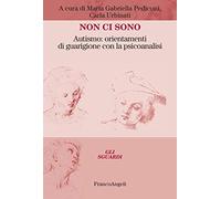 Non ci sono. Autismo: orientamenti di guarigione con la psicoanalisi