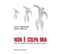 Non è colpa mia. Voci di uomini che hanno ucciso le donne