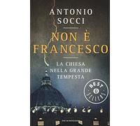 Non è Francesco. La Chiesa nella grande tempesta