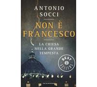 Non è Francesco. La Chiesa nella grande tempesta