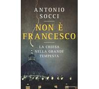 Non è Francesco. La Chiesa nella grande tempesta