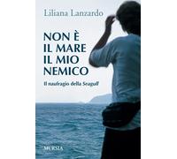 Non è il mare il mio nemico: Il naufragio della «Seagull»