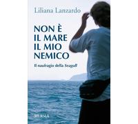 Non è il mare il mio nemico. Il naufragio della Seagull - 2012 -