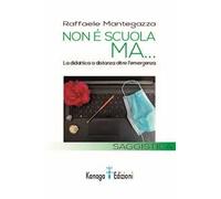 Non è scuola ma... La didattica a distanza oltre l'emergenza