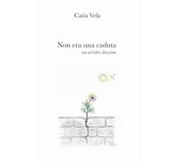 Non era una caduta, era un altra direzione