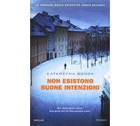 Non esistono buone intenzioni. Le indagini della detective Sasza Zaluska