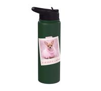 Non ha paura di una sfida Stainless Steel Insulated Water Bottle