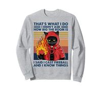 Non Ho chiesto Quanto è Grande la Stanza Ho Detto di Aver lanciato Fireball Felpa