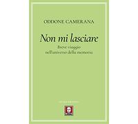Non mi lasciare. Breve viaggio nell'universo della memoria