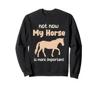 Non ora il mio cavallo è più importante. Divertente amante dei cavalli Felpa