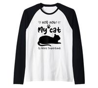 Non ora il mio gatto è più importante Gatto divertente Maglia con Maniche Raglan