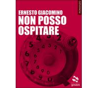 Non posso ospitare di Ernesto Giacomino, 2014, Goware