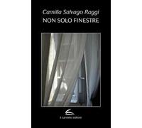 Non solo finestre