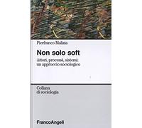 Non solo soft. Attori, processi, sistemi: un approccio sociologico