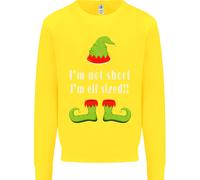 Non Sono Basso, Sono Di Dimensioni Elf Funny Christmas Kids Sweatshirt Jumper