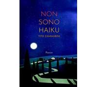 Non sono haiku