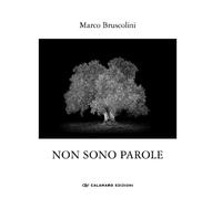 Non sono parole. Quasi un rifugio dall'ansia della xylella - 2024