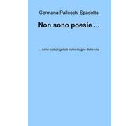Non sono poesie... Sono ciottoli gettati nello stagno della vita