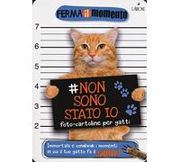 Non sono stato io. Foto-cartoline per gatti