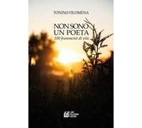 Non sono un poeta. 100 frammenti di vita
