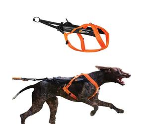 Non-stop dogwear Freemotion - Pettorina per cani 5.0, per sport come corsa, ciclismo e sci, con cani, professionale, regolabile, arancione/nero, taglia 7