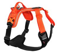 Non-Stop Dogwear Pettorina Ramble Arancione/Nero Per Cani