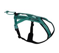 Non-stop dogwear Rush Pettorina Teal per Attivo Cani Canicross Zughunde