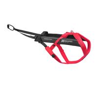 Non-stop dogwear Treno Stoviglie Freemotion Pettorina 5.0 Fucsia / Grau,Varie Le