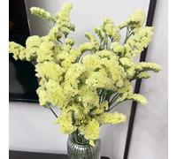 Non ti scordar di me - Myosotis Sylvatica riverdimento tetti semi biologici semi di copertura del suolo decorazione giardino selvatici 100pcs