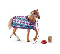 Non Vendiamo Più Asdasdaskodsasaaskpo000000042