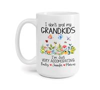 Non Vizio I Miei Nipoti Tazza Mug Ceramica Tazza Colazione Durevole Tazze Da Tè Regalo Carino Per Ragazze Anniversario Festa Della Mamma 330Ml